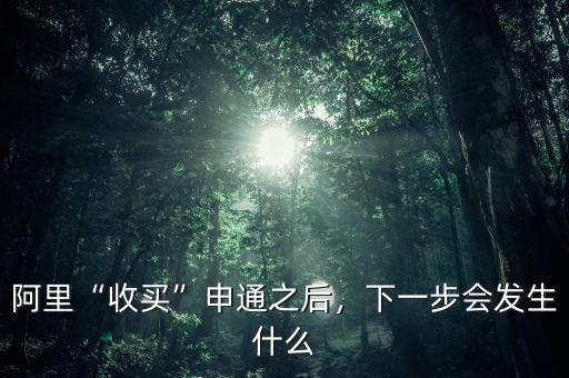 阿里“收買”申通之后，下一步會發(fā)生什么