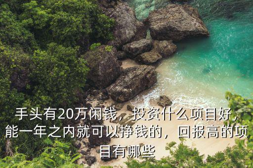 手頭有20萬閑錢，投資什么項(xiàng)目好，能一年之內(nèi)就可以掙錢的，回報(bào)高的項(xiàng)目有哪些