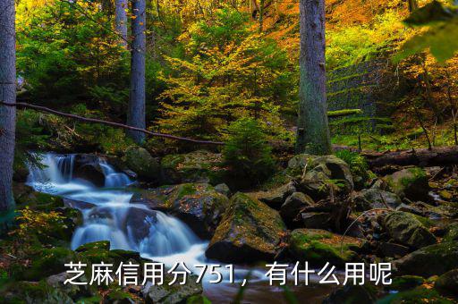 芝麻信用分751，有什么用呢