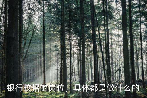 銀行校招的崗位，具體都是做什么的