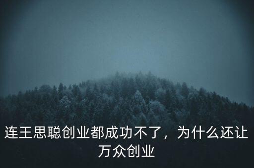 連王思聰創(chuàng)業(yè)都成功不了，為什么還讓萬眾創(chuàng)業(yè)