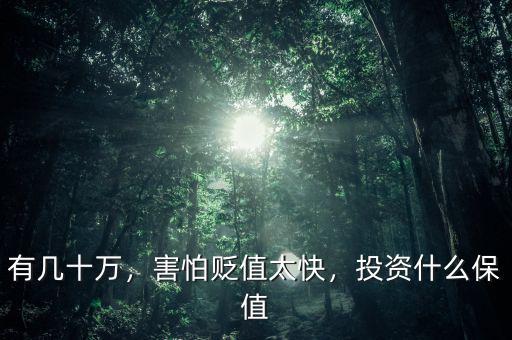 有幾十萬，害怕貶值太快，投資什么保值