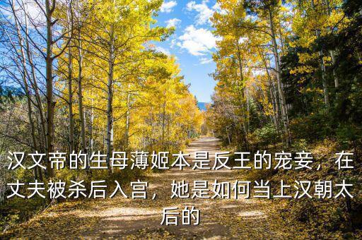 漢文帝的生母薄姬本是反王的寵妾，在丈夫被殺后入宮，她是如何當(dāng)上漢朝太后的