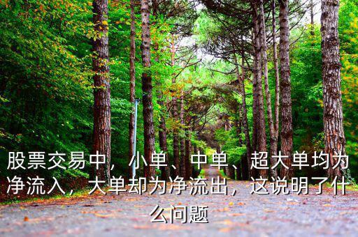 股票交易中，小單、中單、超大單均為凈流入，大單卻為凈流出，這說明了什么問題