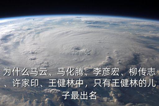 為什么馬云、馬化騰、李彥宏、柳傳志、許家印、王健林中，只有王健林的兒子最出名