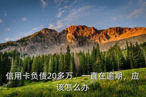 信用卡負(fù)債20多萬，一直在逾期，應(yīng)該怎么辦
