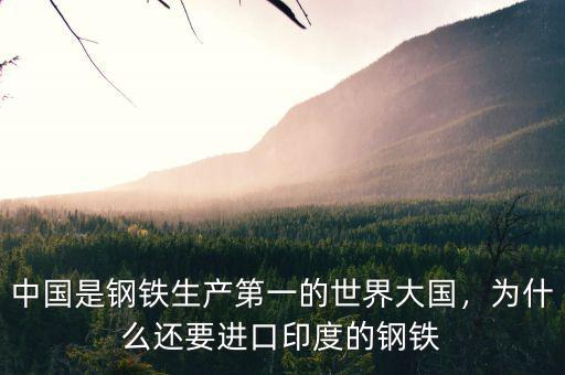 中國是鋼鐵生產(chǎn)第一的世界大國，為什么還要進(jìn)口印度的鋼鐵