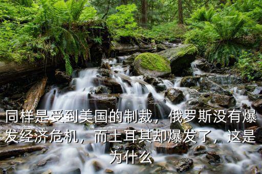 同樣是受到美國(guó)的制裁，俄羅斯沒(méi)有爆發(fā)經(jīng)濟(jì)危機(jī)，而土耳其卻爆發(fā)了，這是為什么