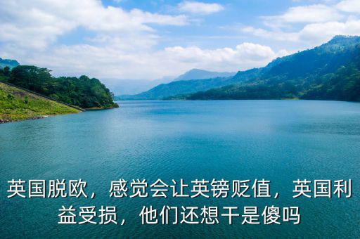 英國脫歐，感覺會讓英鎊貶值，英國利益受損，他們還想干是傻嗎