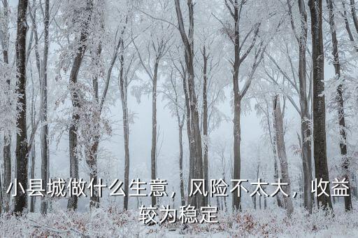 小縣城做什么生意，風險不太大，收益較為穩(wěn)定
