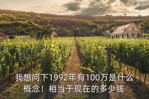 我想問(wèn)下1992年有100萬(wàn)是什么概念！相當(dāng)于現(xiàn)在的多少錢