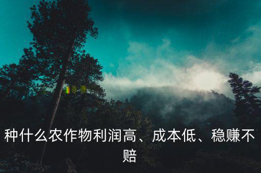 種什么農(nóng)作物利潤高、成本低、穩(wěn)賺不賠