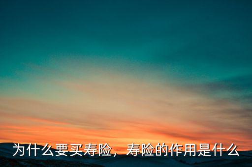 為什么要買(mǎi)壽險(xiǎn)，壽險(xiǎn)的作用是什么