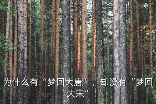 為什么有“夢回大唐”，卻沒有“夢回大宋”