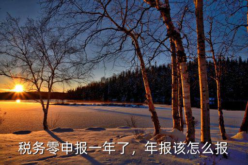 稅務(wù)零申報一年了，年報該怎么報