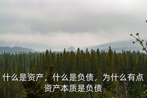 一類資產(chǎn)是什么資產(chǎn),為什么有點資產(chǎn)本質是負債