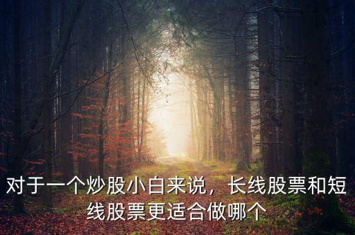 對于一個(gè)炒股小白來說，長線股票和短線股票更適合做哪個(gè)