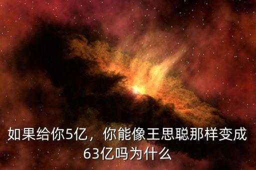 如果給你5億，你能像王思聰那樣變成63億嗎為什么