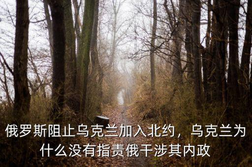 俄羅斯阻止烏克蘭加入北約，烏克蘭為什么沒(méi)有指責(zé)俄干涉其內(nèi)政