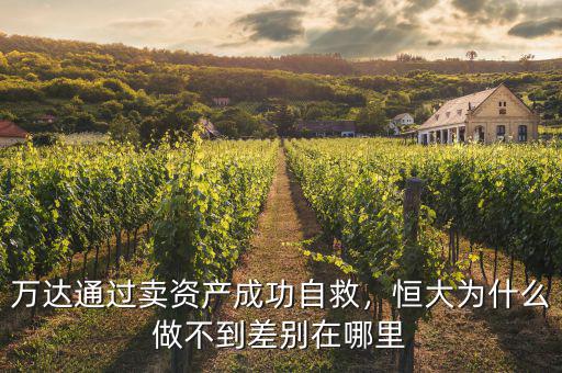 萬達通過賣資產成功自救，恒大為什么做不到差別在哪里