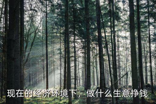 現(xiàn)在的經(jīng)濟環(huán)境下，做什么生意掙錢