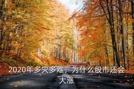 2020年多災(zāi)多難，為什么股市還會(huì)大漲