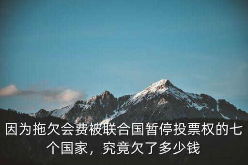 因為拖欠會費被聯(lián)合國暫停投票權(quán)的七個國家，究竟欠了多少錢
