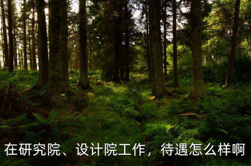 在研究院、設(shè)計(jì)院工作，待遇怎么樣啊