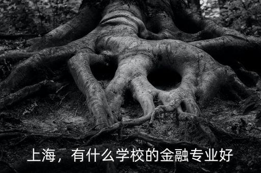 上海，有什么學校的金融專業(yè)好