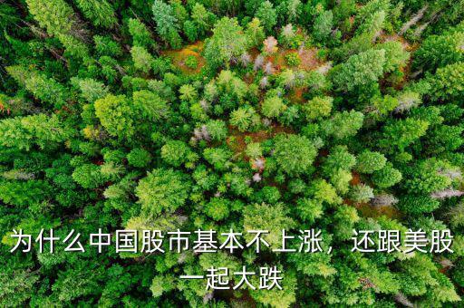 為什么中國股市基本不上漲，還跟美股一起大跌