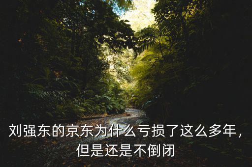 劉強東的京東為什么虧損了這么多年，但是還是不倒閉