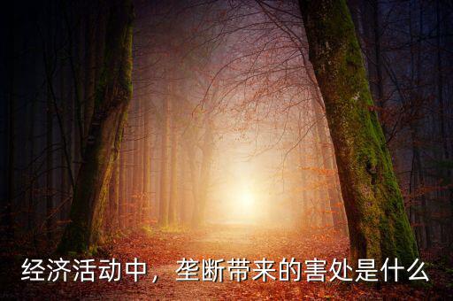 經(jīng)濟(jì)活動(dòng)中，壟斷帶來的害處是什么