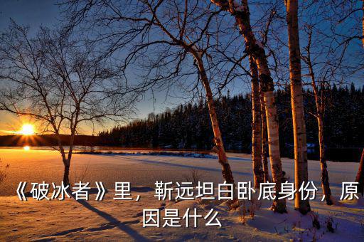 《破冰者》里，靳遠(yuǎn)坦白臥底身份，原因是什么