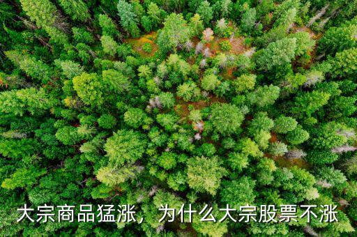 大宗商品猛漲，為什么大宗股票不漲