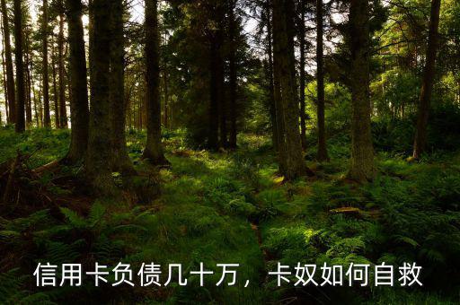 信用卡負債幾十萬，卡奴如何自救