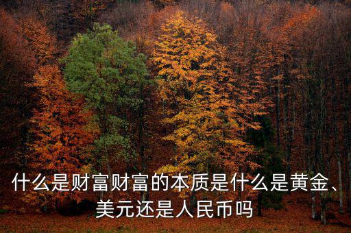 什么是財富財富的本質(zhì)是什么是黃金、美元還是人民幣嗎