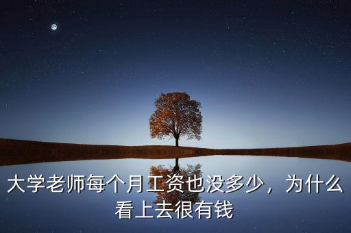 大學老師每個月工資也沒多少，為什么看上去很有錢