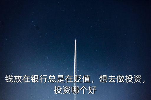 錢放在銀行總是在貶值，想去做投資，投資哪個好