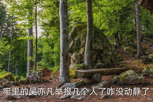 牢里的吳亦凡舉報(bào)幾個人了咋沒動靜了