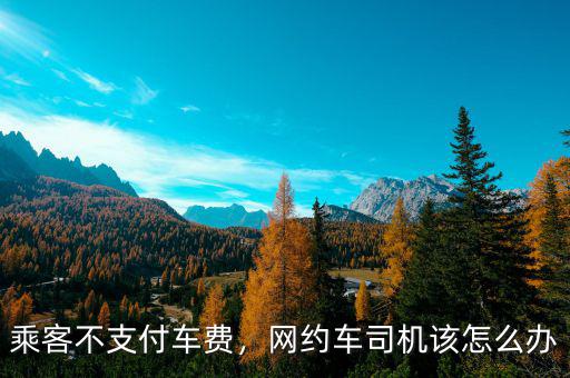 乘客不支付車費，網約車司機該怎么辦