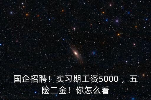 國企招聘！實習(xí)期工資5000 ，五險二金！你怎么看