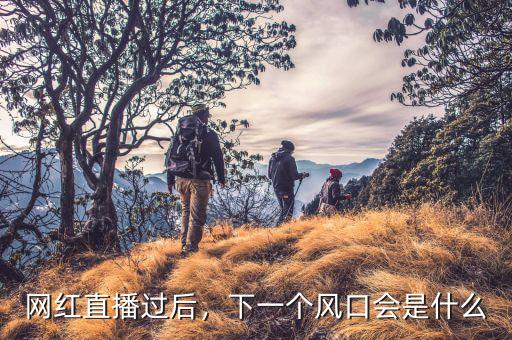 網(wǎng)紅直播過(guò)后，下一個(gè)風(fēng)口會(huì)是什么