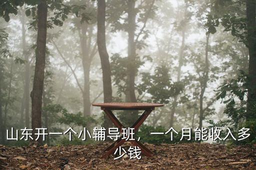 山東開一個(gè)小輔導(dǎo)班，一個(gè)月能收入多少錢