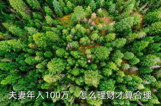 夫妻年入100萬，怎么理財才算合理