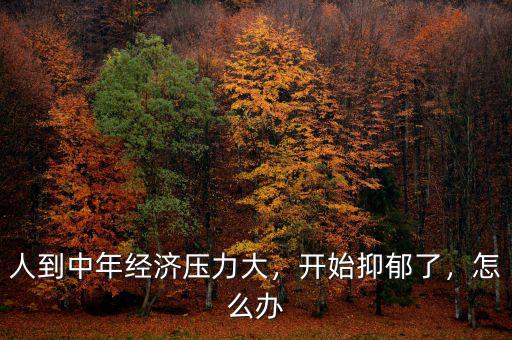 人到中年經(jīng)濟壓力大，開始抑郁了，怎么辦