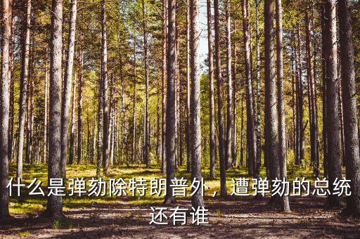 什么是彈劾除特朗普外，遭彈劾的總統(tǒng)還有誰