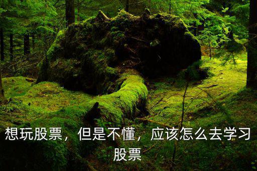 想玩股票，但是不懂，應該怎么去學習股票