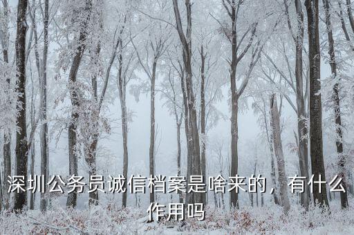 深圳公務員誠信檔案是啥來的，有什么作用嗎