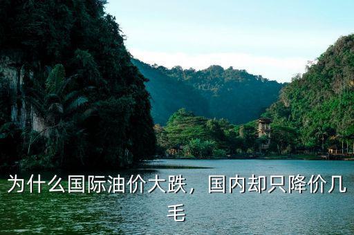 為什么國(guó)際油價(jià)大跌，國(guó)內(nèi)卻只降價(jià)幾毛