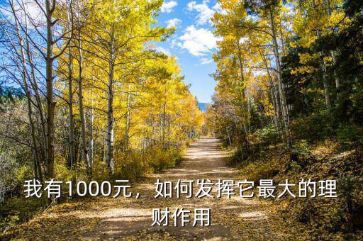 我有1000元，如何發(fā)揮它最大的理財(cái)作用